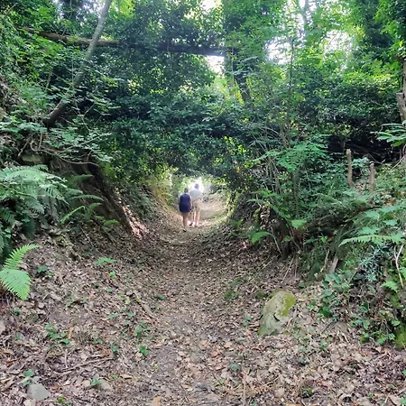 Nyaraló Casa Rubio Camaiore